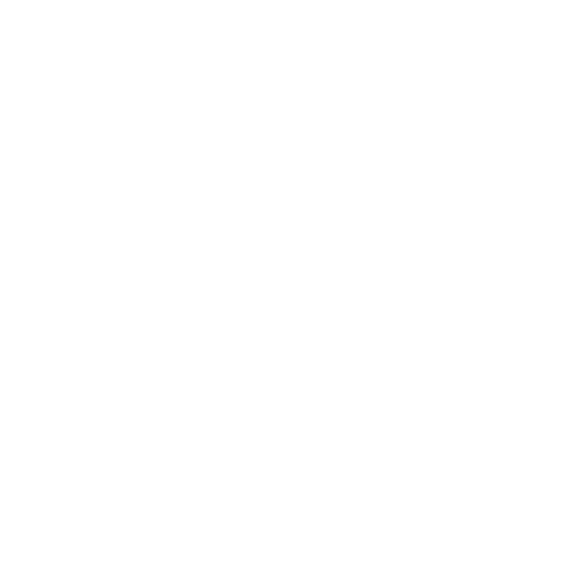 ícone de um escudo que representa a proteção de uma rede privada